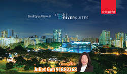 Eight Riversuites (D12), Condominium #177211142